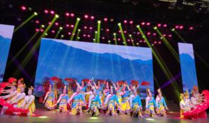 “湯溝國藏之夜”2020灌南縣春節(jié)聯(lián)歡晚會落幕